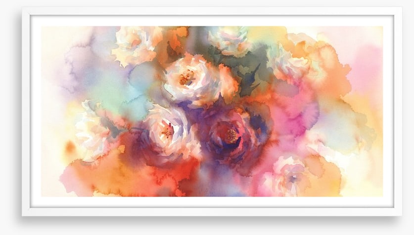 A splash of white roses