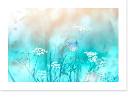 Butterfly blues