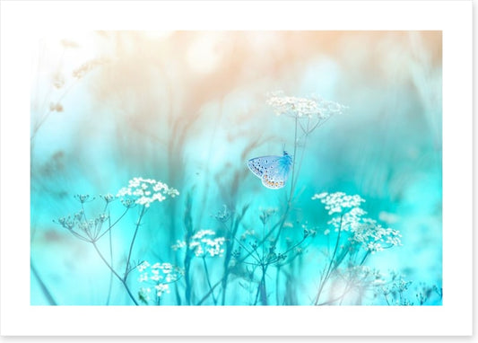 Butterfly blues