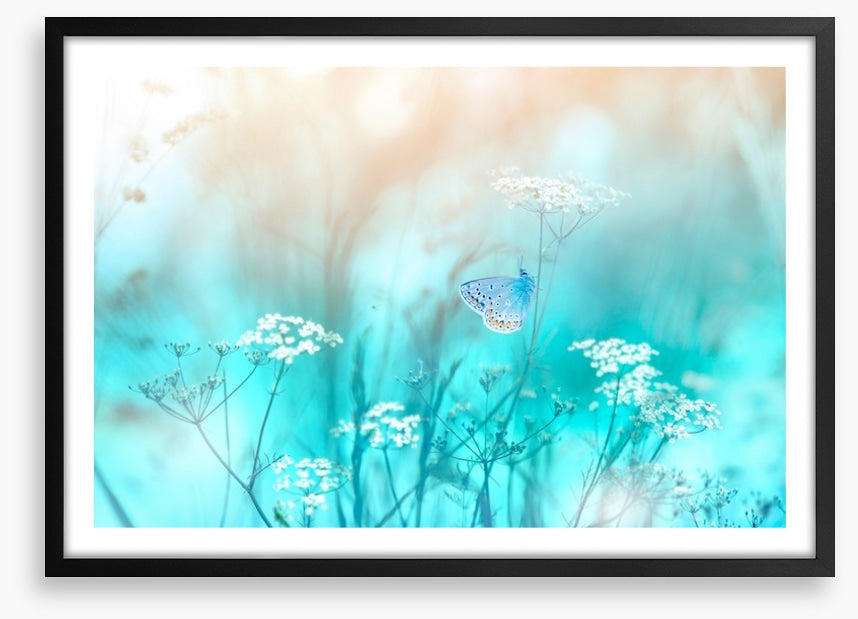 Butterfly blues