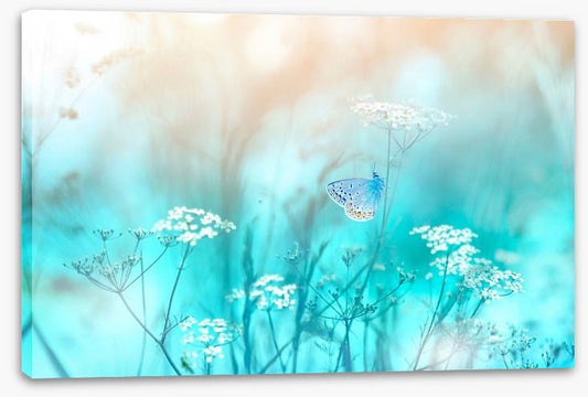 Butterfly blues