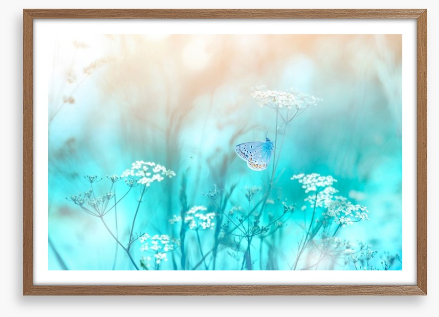 Butterfly blues