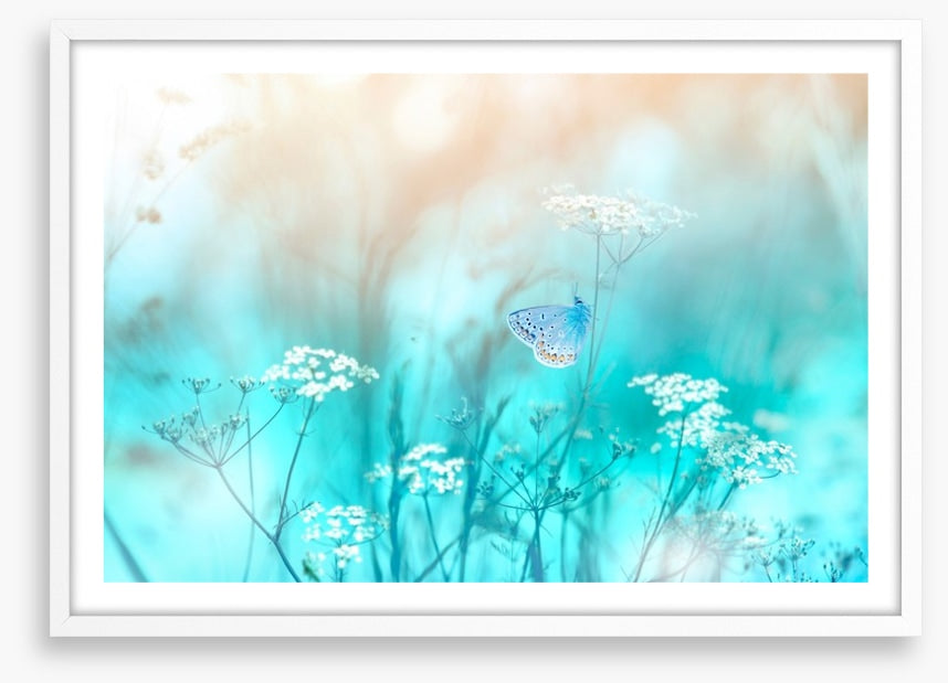 Butterfly blues