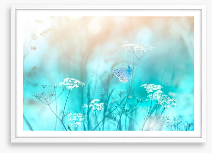 Butterfly blues