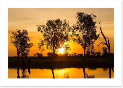 Trees