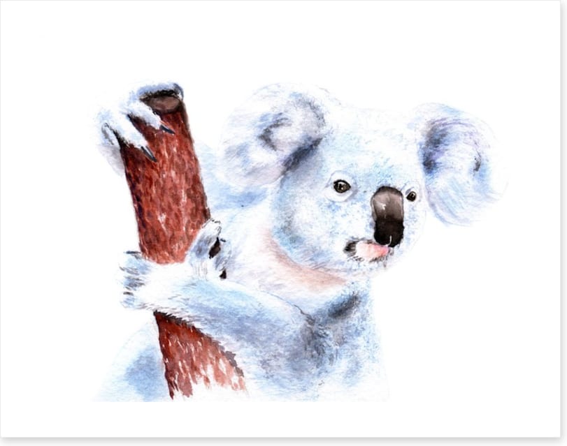 Blinky Bill