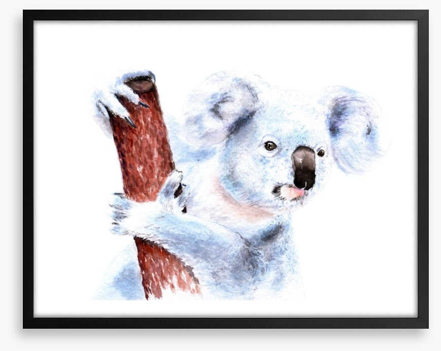 Blinky Bill