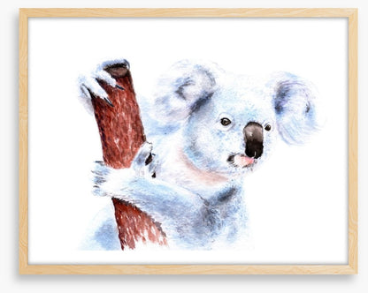 Blinky Bill