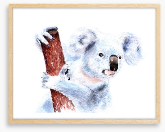 Blinky Bill