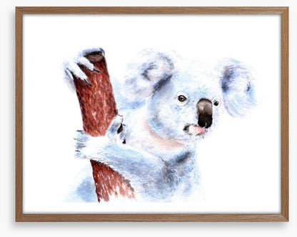 Blinky Bill