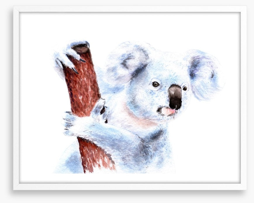 Blinky Bill