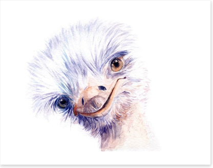 The amiable ostrich