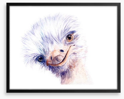 The amiable ostrich