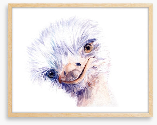 The amiable ostrich