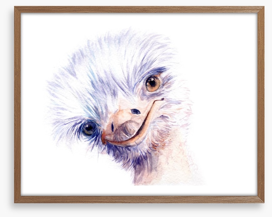 The amiable ostrich