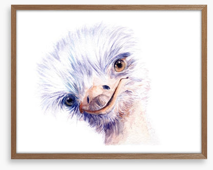 The amiable ostrich