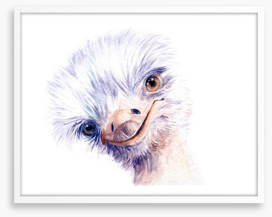 The amiable ostrich