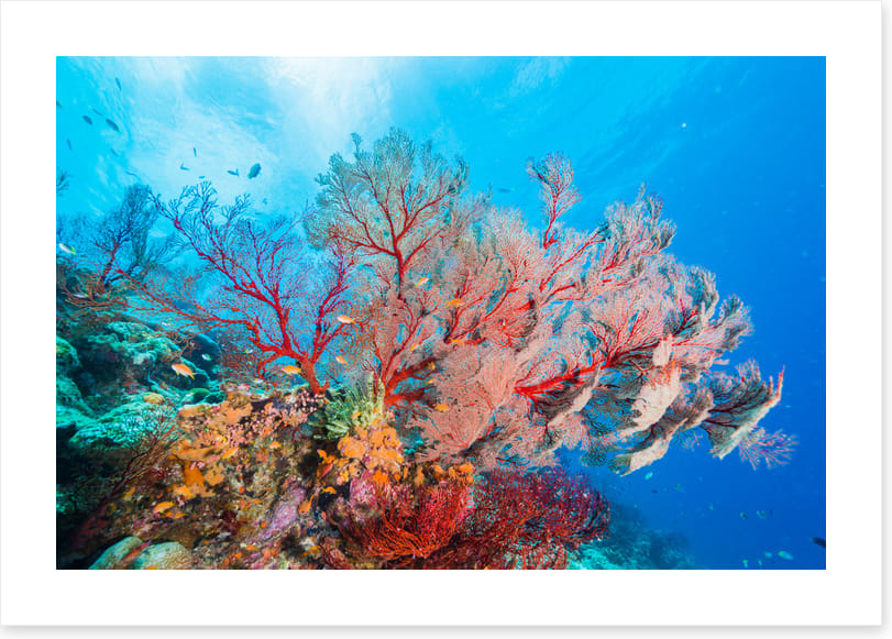 Underwater