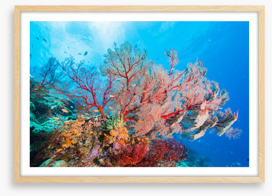Underwater