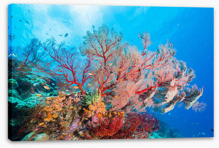 Underwater