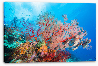 Underwater