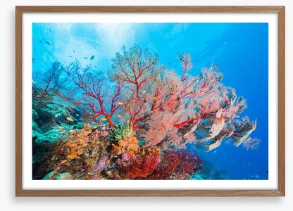 Underwater