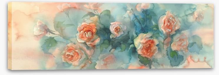 A splash of roses panoramic