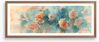 A splash of roses panoramic