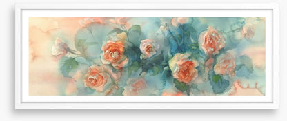 A splash of roses panoramic