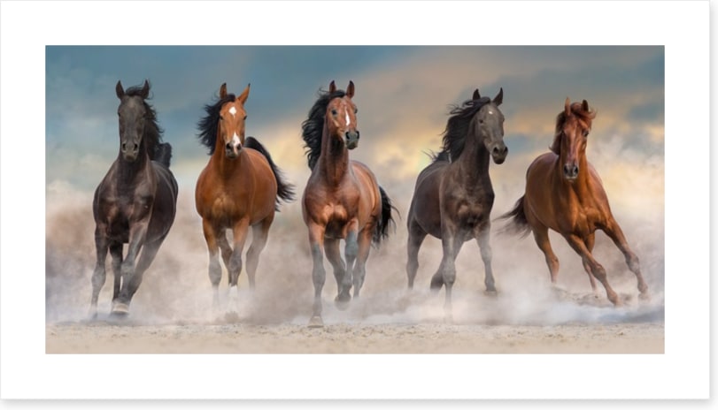 The five amigos