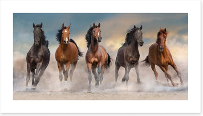 The five amigos