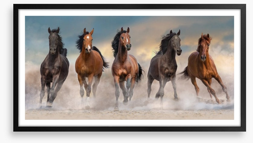 The five amigos