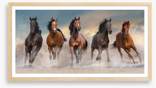 The five amigos