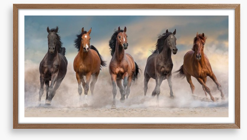 The five amigos