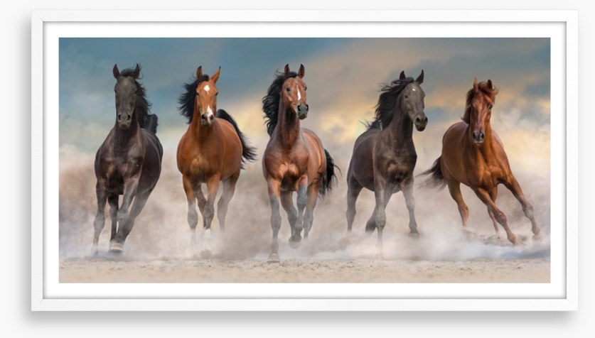 The five amigos