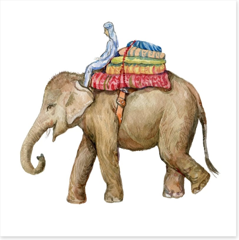 Elephants