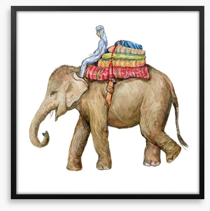 Elephants