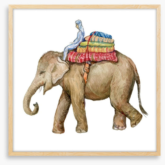 Elephants