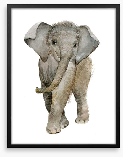 Elephant fuzz
