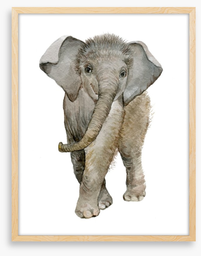 Elephant fuzz