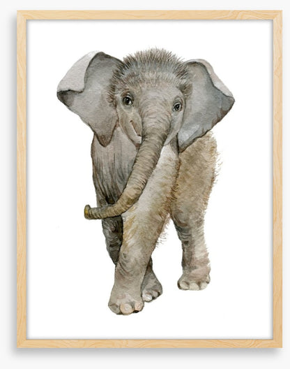 Elephant fuzz