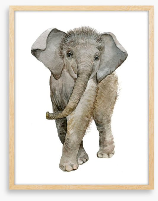 Elephant fuzz