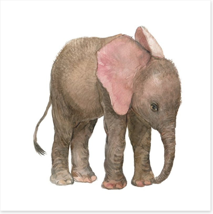Elephants