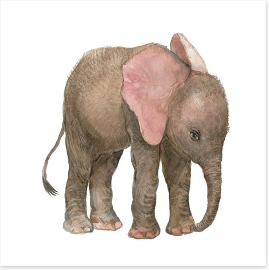 Elephants