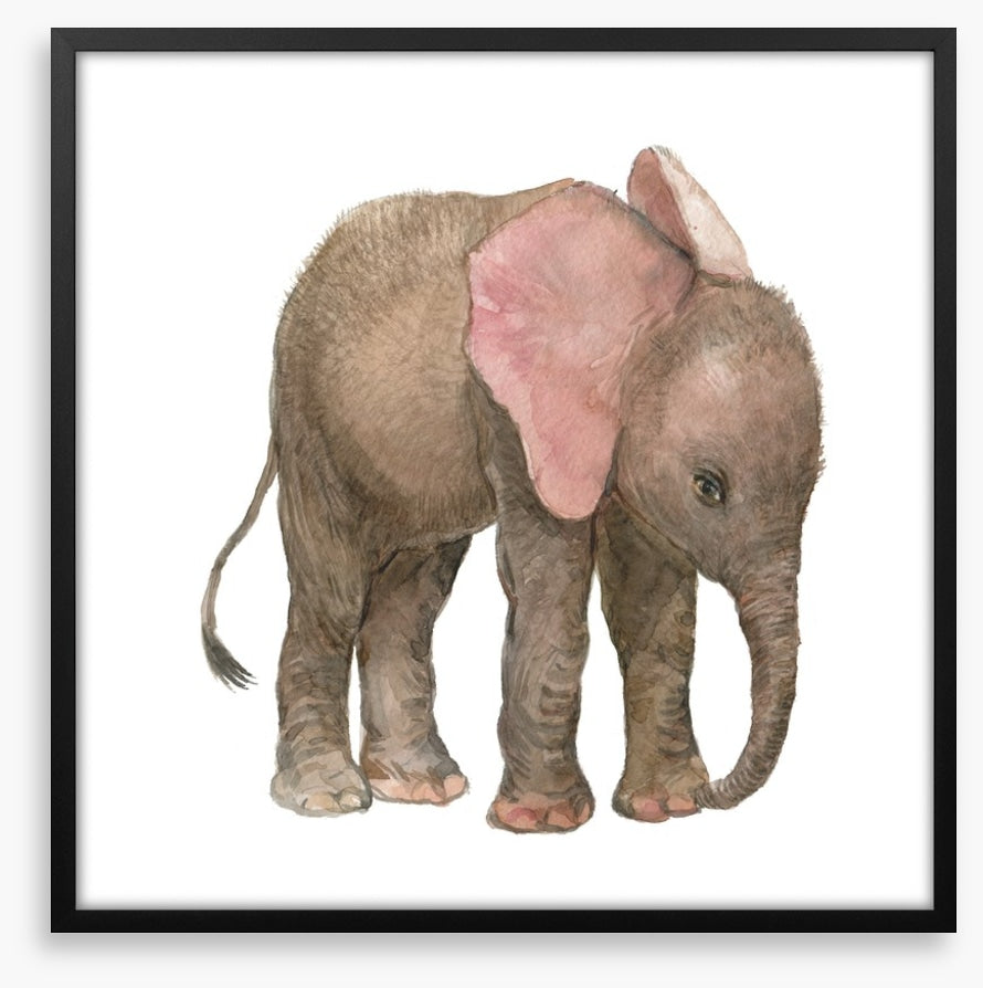 Elephants