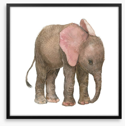 Elephants