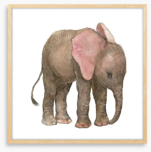 Elephants
