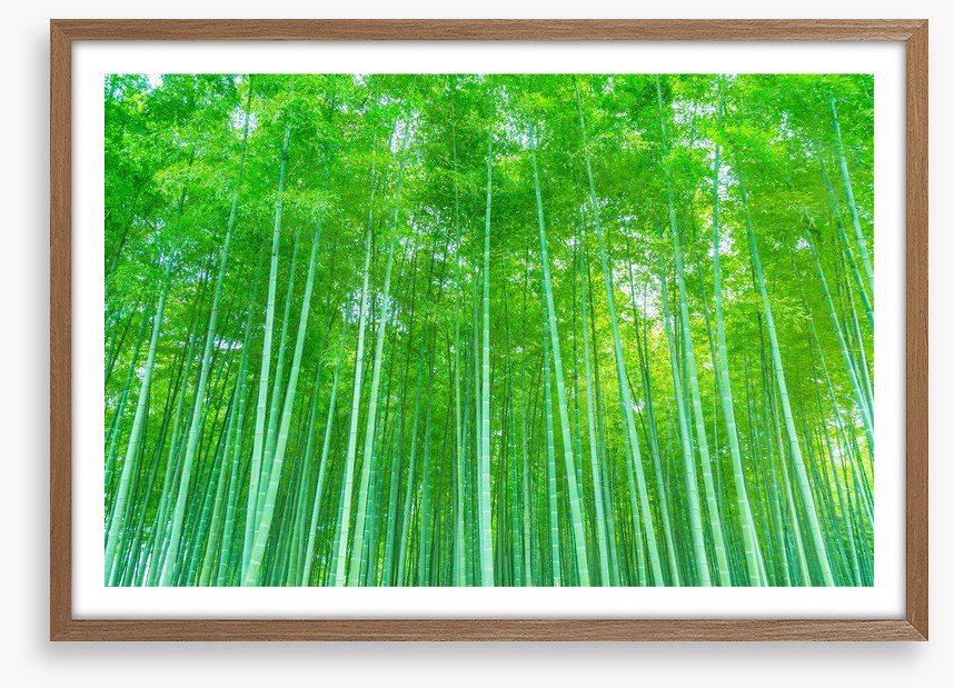 Luminous bamboo forest
