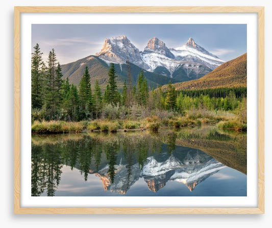 Sisterly reflections