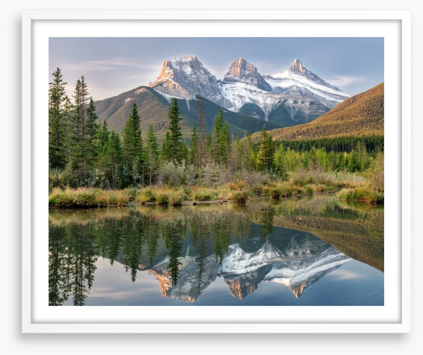 Sisterly reflections